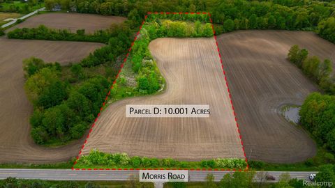 Lot D Morris Lapeer City MI 48446