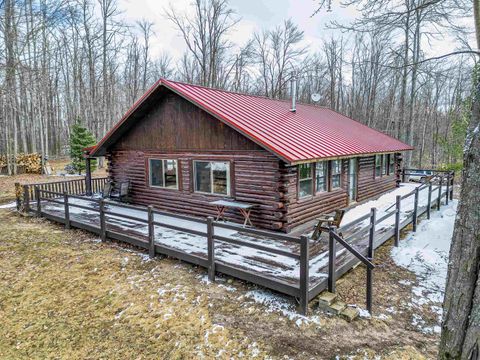 6004 N Greenway Drive Frederic Township MI 49733