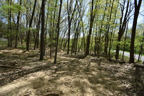 10146 ISLAND LAKE Road Dexter Township MI 48130