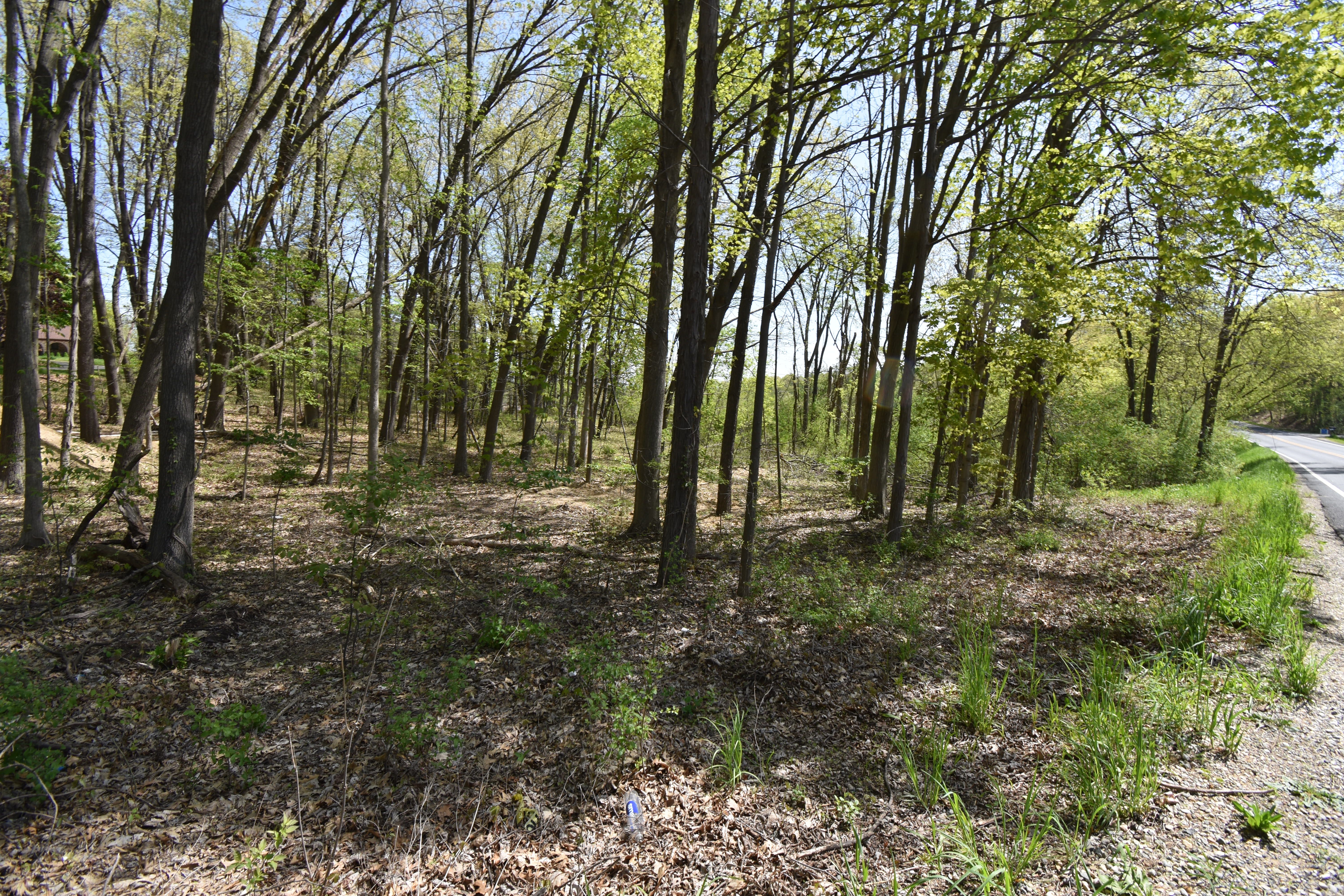 10146 ISLAND LAKE Road