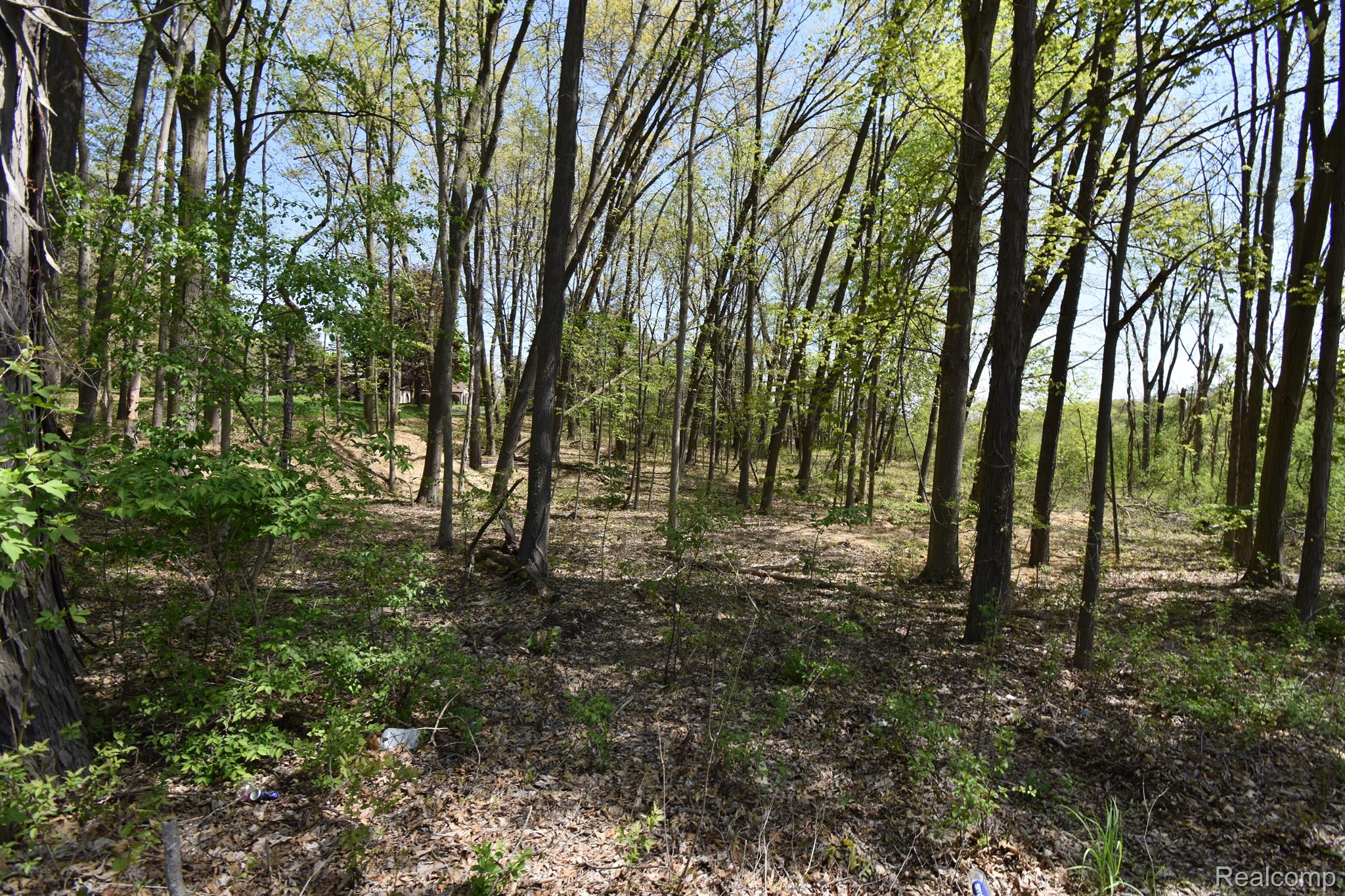 10146 ISLAND LAKE Road