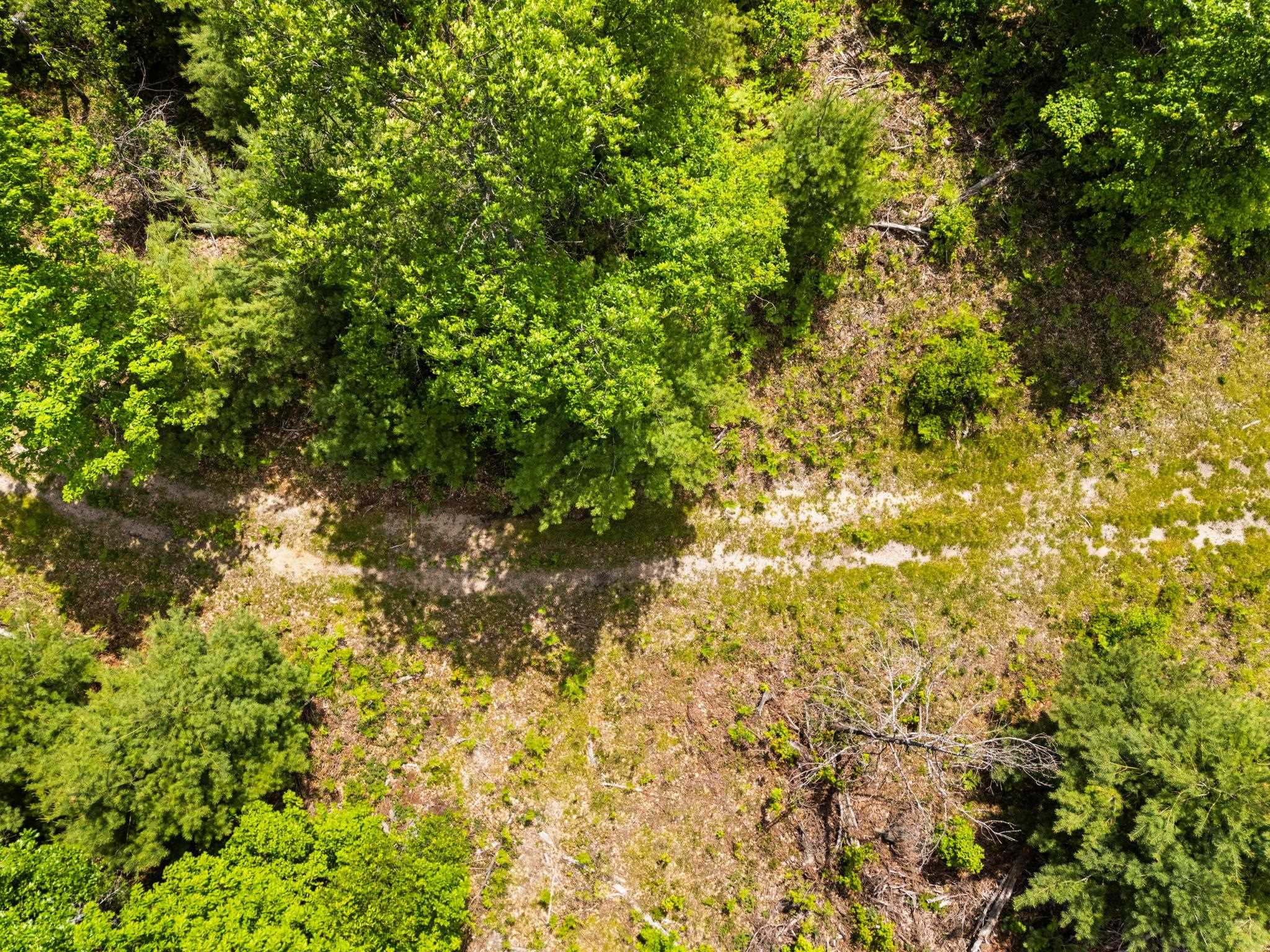 4011 W Forest Road