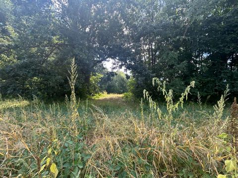 0 V/L M-66 Athens Township MI 49011