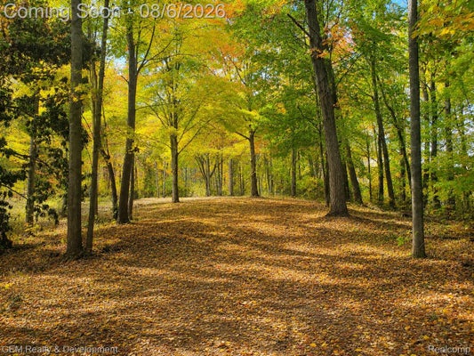 6004 7 MILE RD, SOUTH LYON, MI 48178 - Image 02cf0f84f926700d2e9590e08d26b842/3799200215