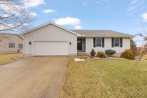 3238 W Northmor Drive Adrian Township MI 49221