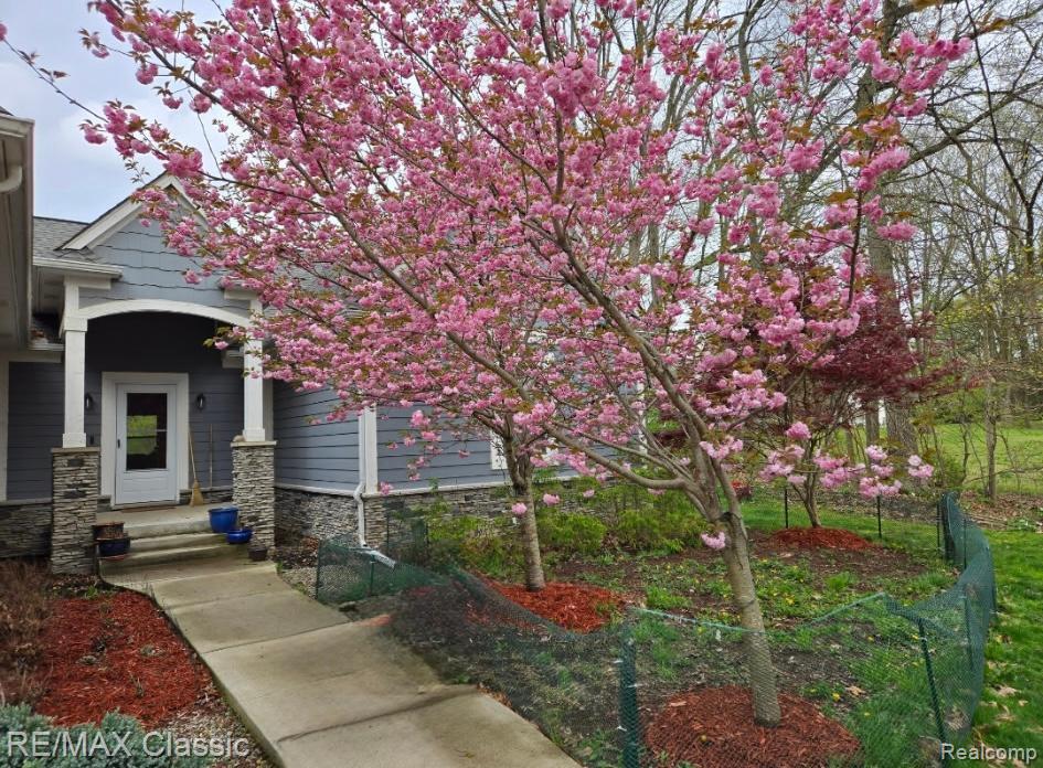 3699 Old Plank Road