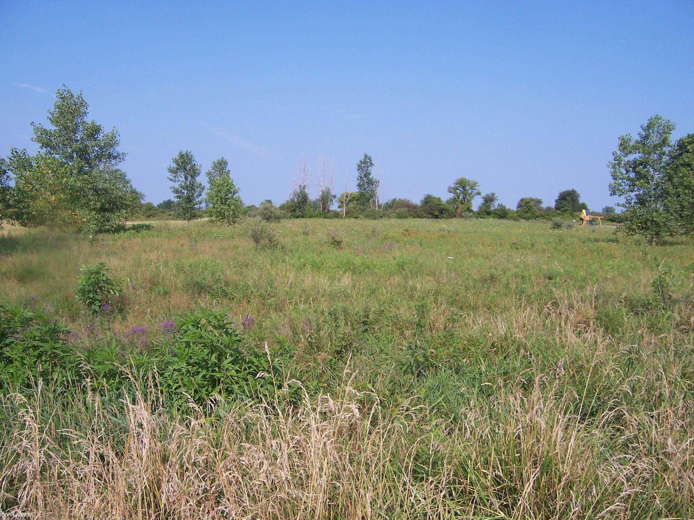 Vacant Minor Rd Road