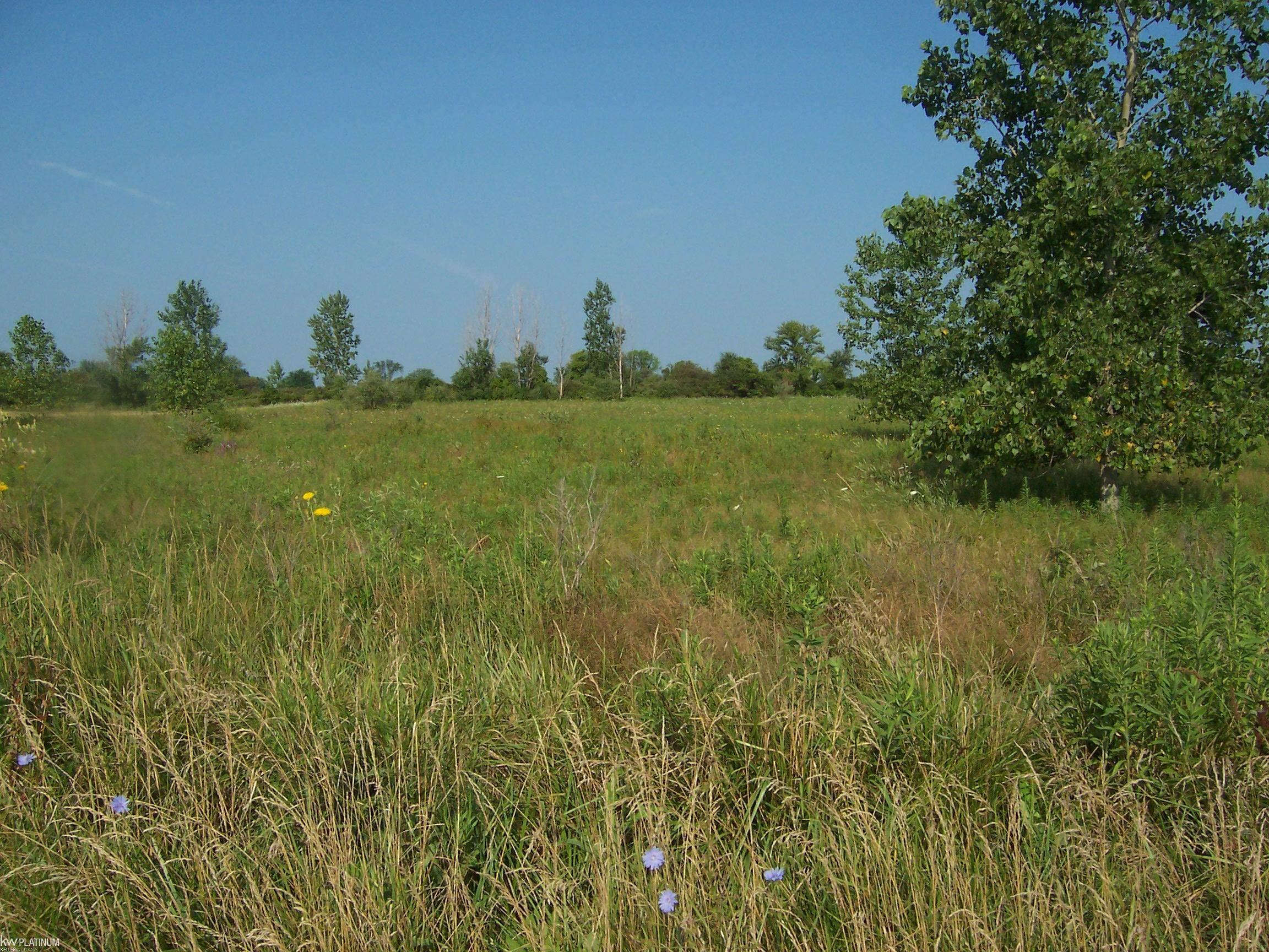 Vacant Minor Rd Road