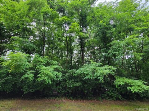 Lot 44 - Pinemont Hamburg Township MI 48116
