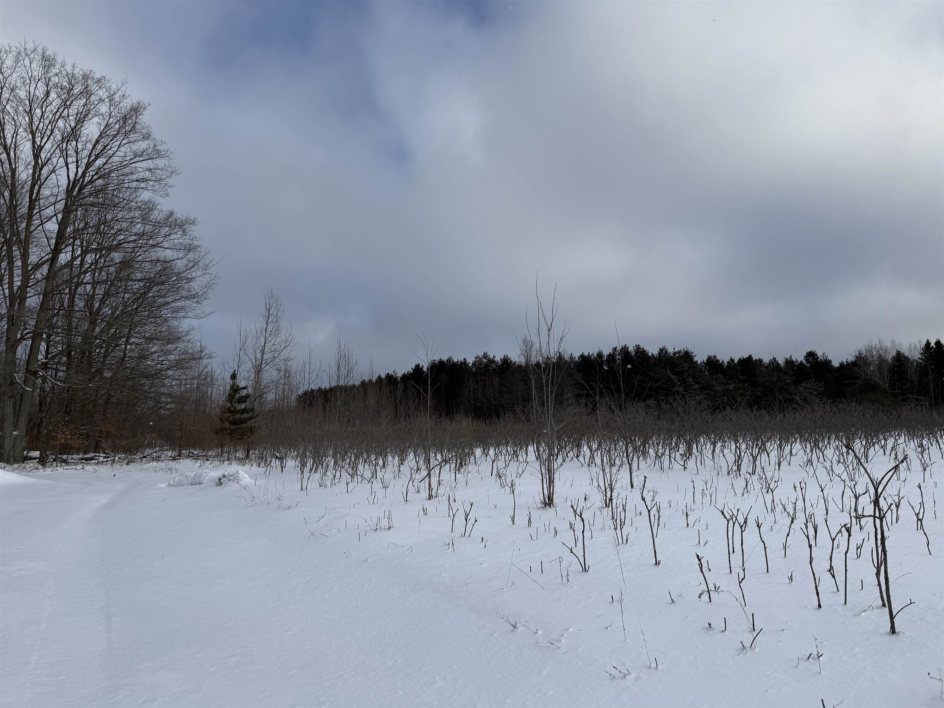 VL W Houghton Lake Road