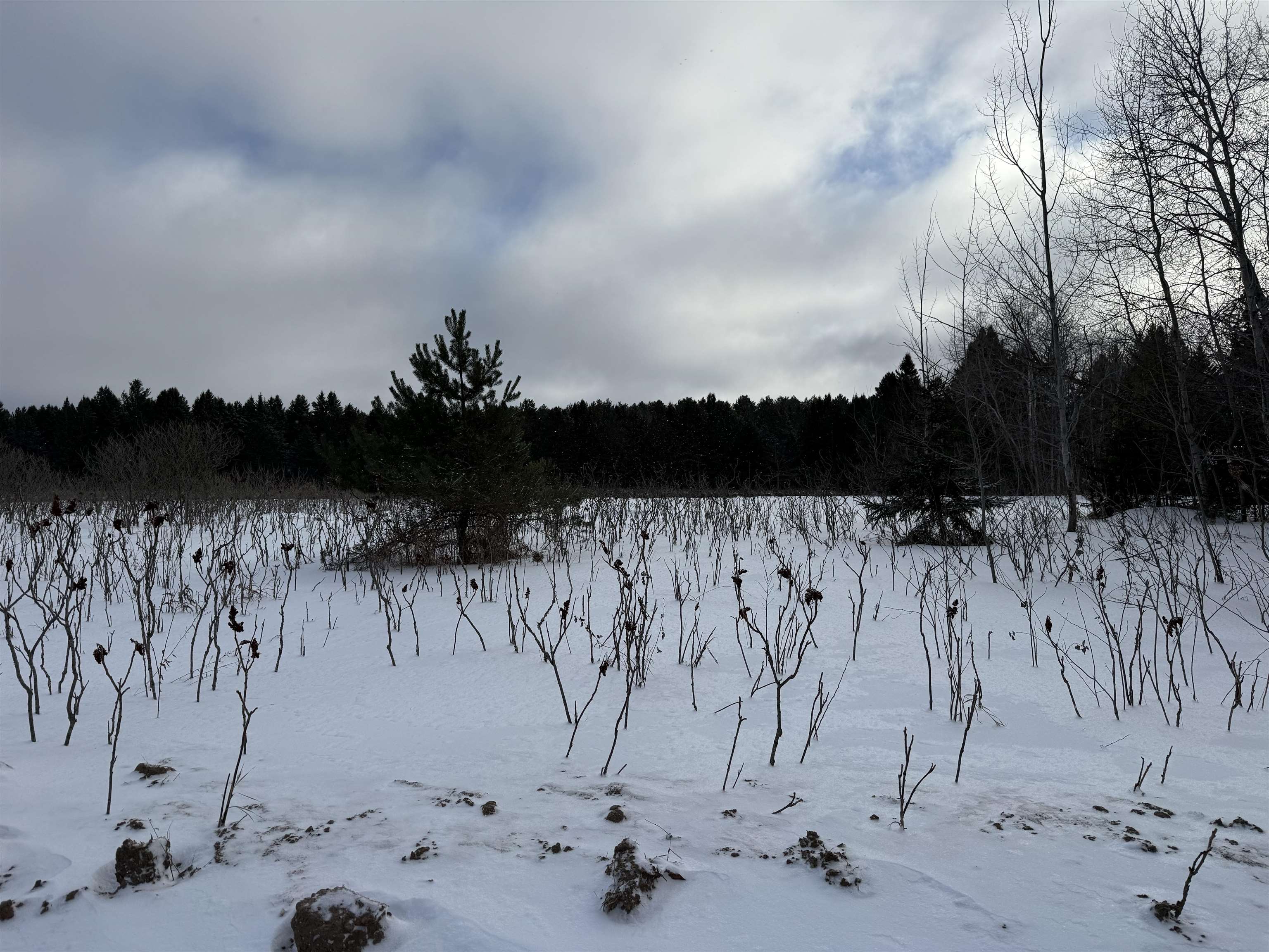 VL W Houghton Lake Road