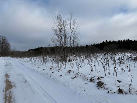 VL W Houghton Lake Road Forest Township MI 49651