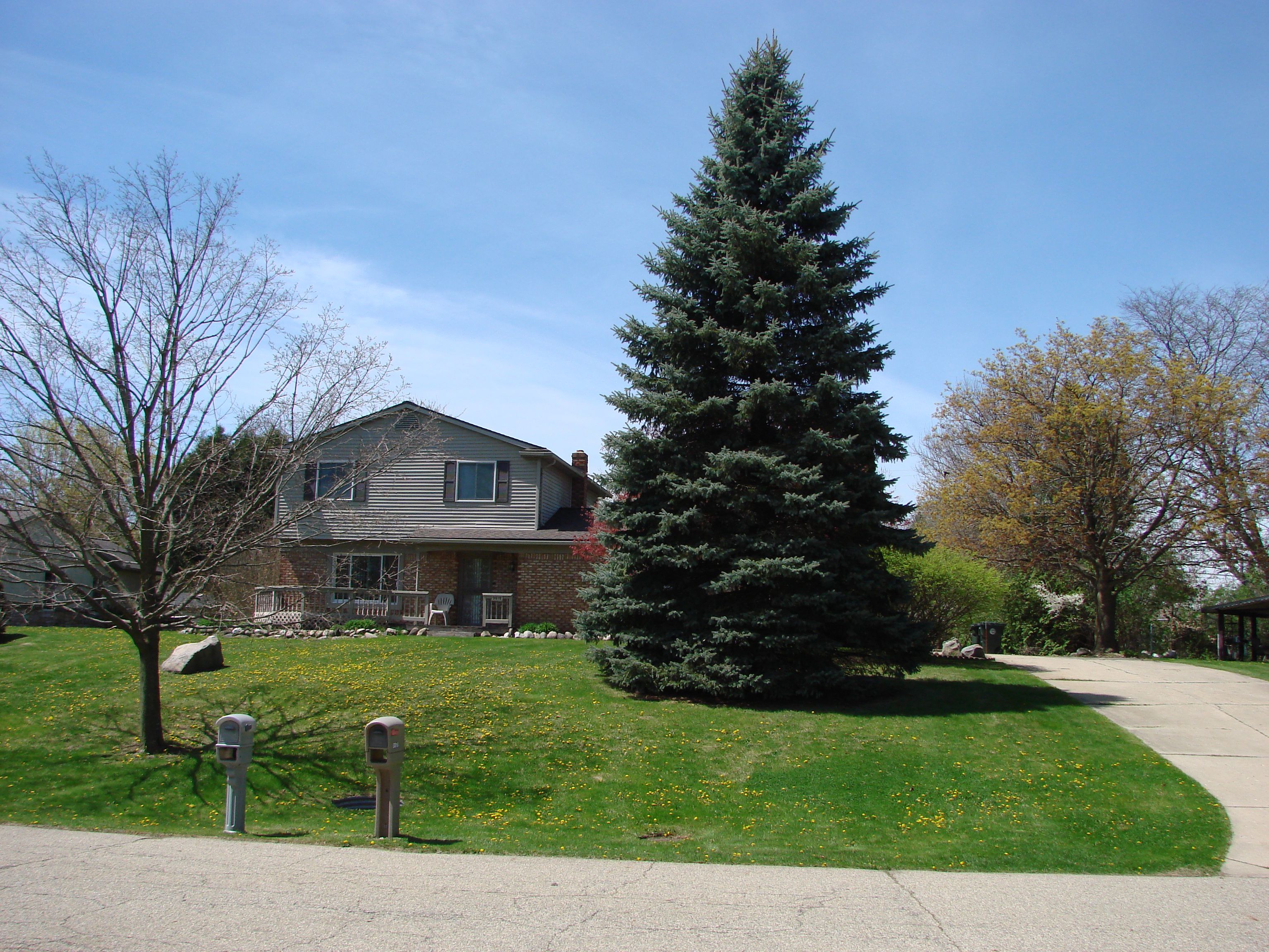 3818 HI DALE Drive