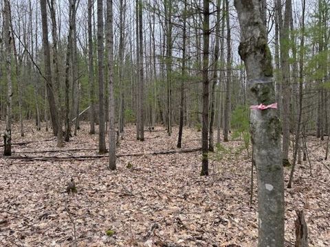 VL Gaukel Road Forest Township MI 49651