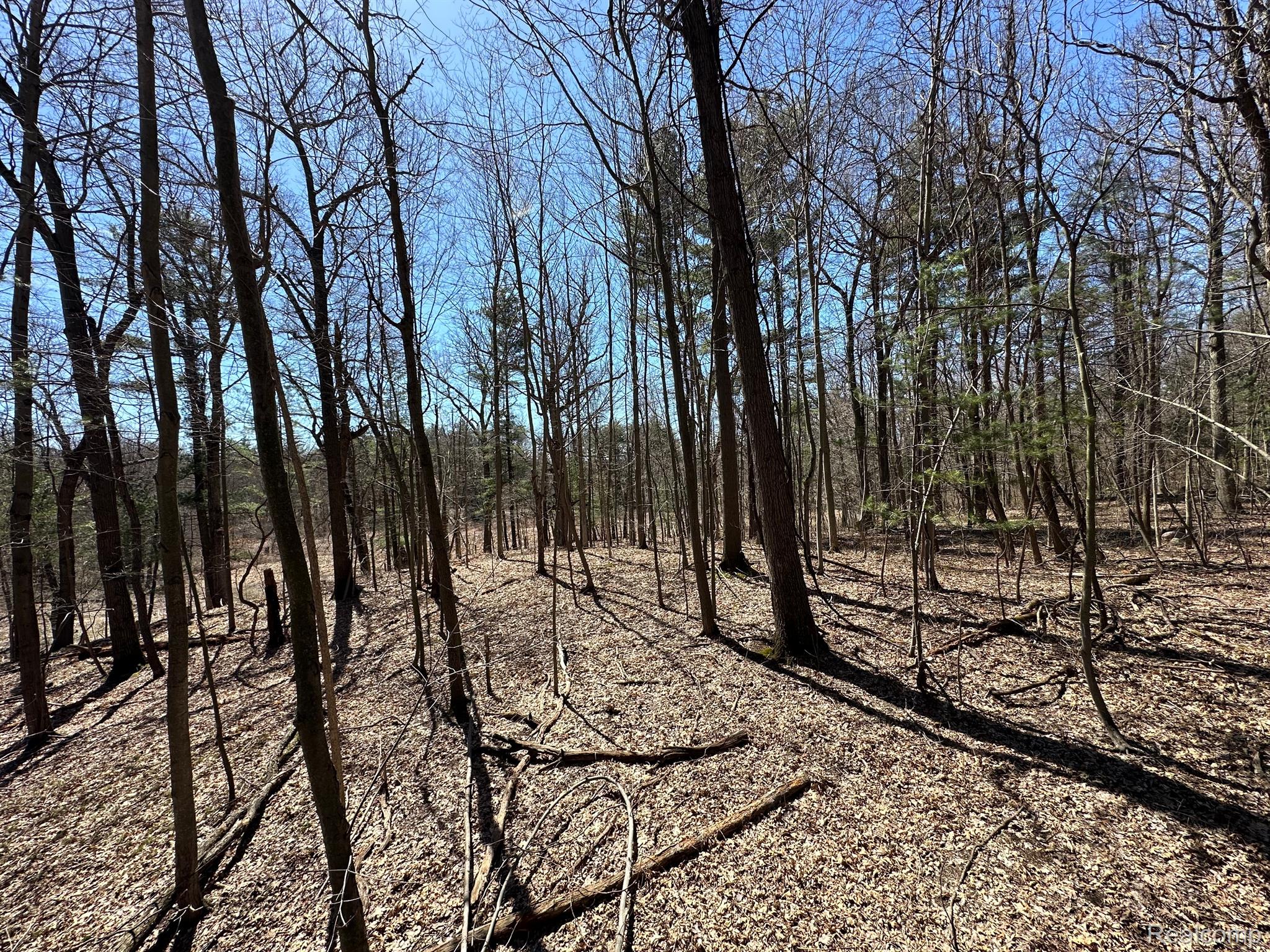 2.05 Acres VL - KNIGHTS BRIDGE Road