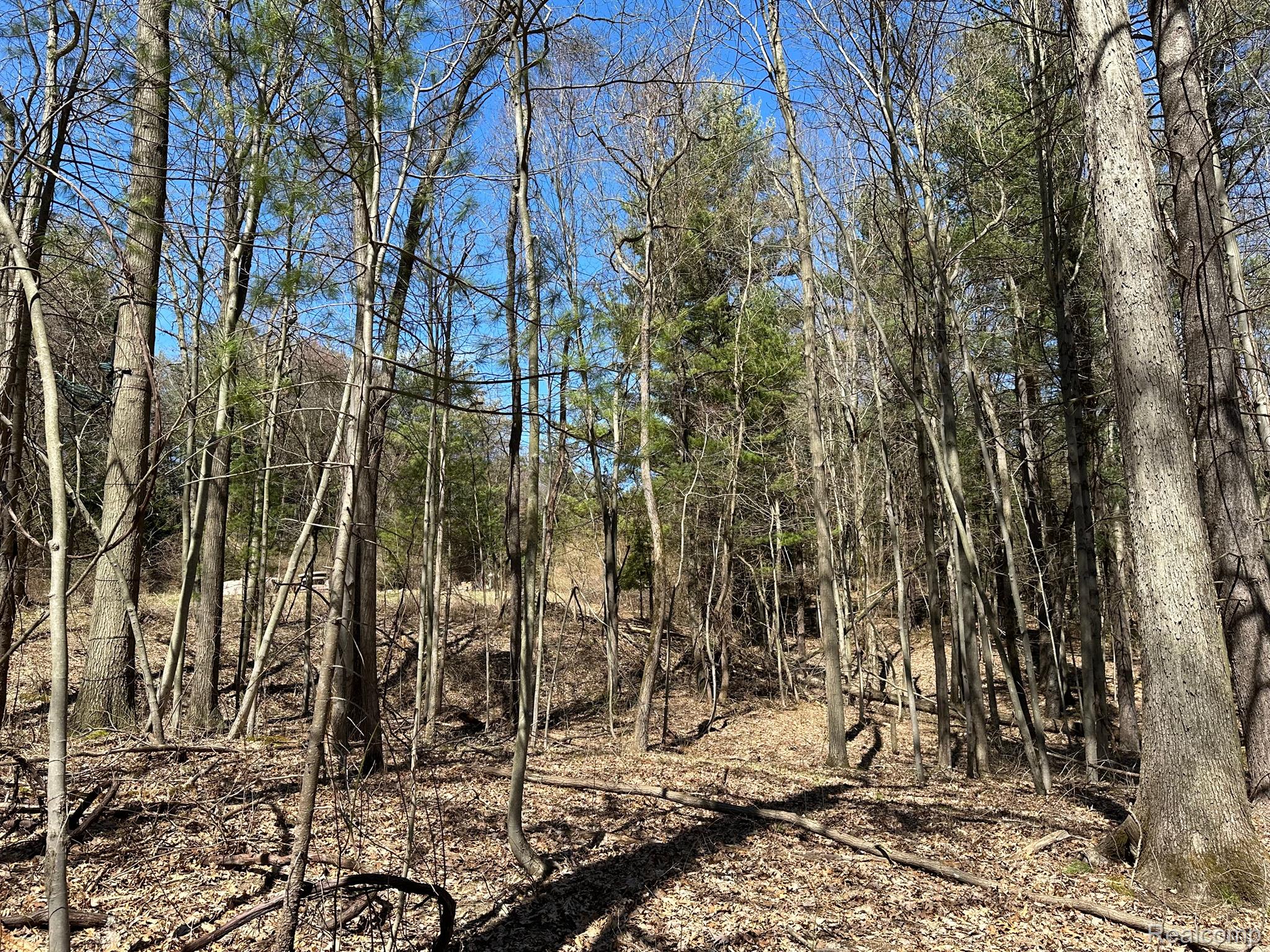 2.05 Acres VL - KNIGHTS BRIDGE Road