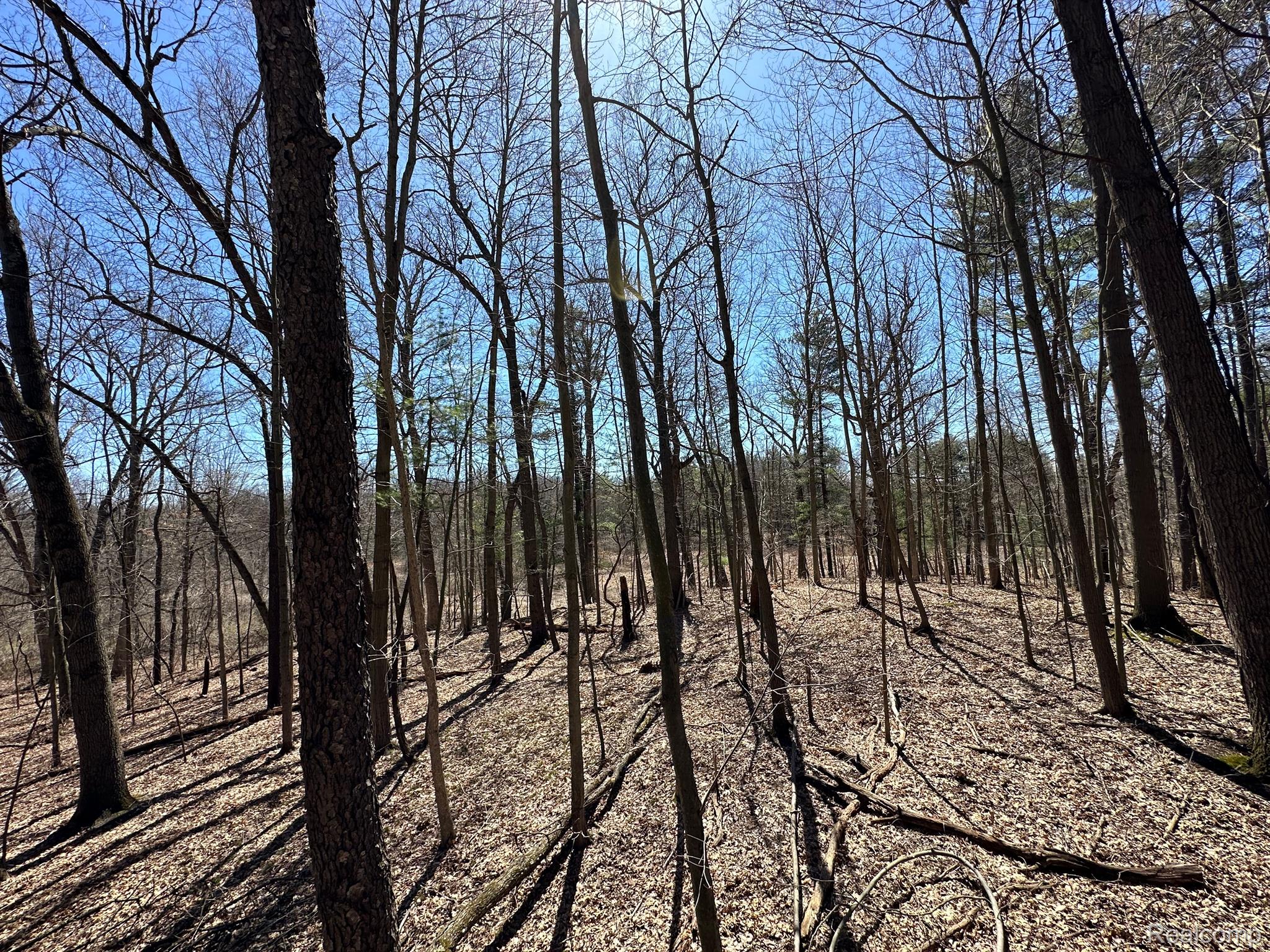 2.05 Acres VL - KNIGHTS BRIDGE Road