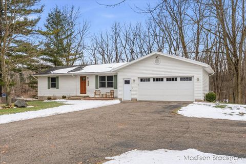 10719 Alpine Avenue NW Sparta Township MI 49345