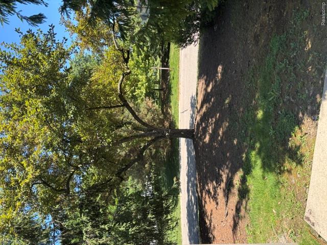 45125 Horseshoe Circle 52