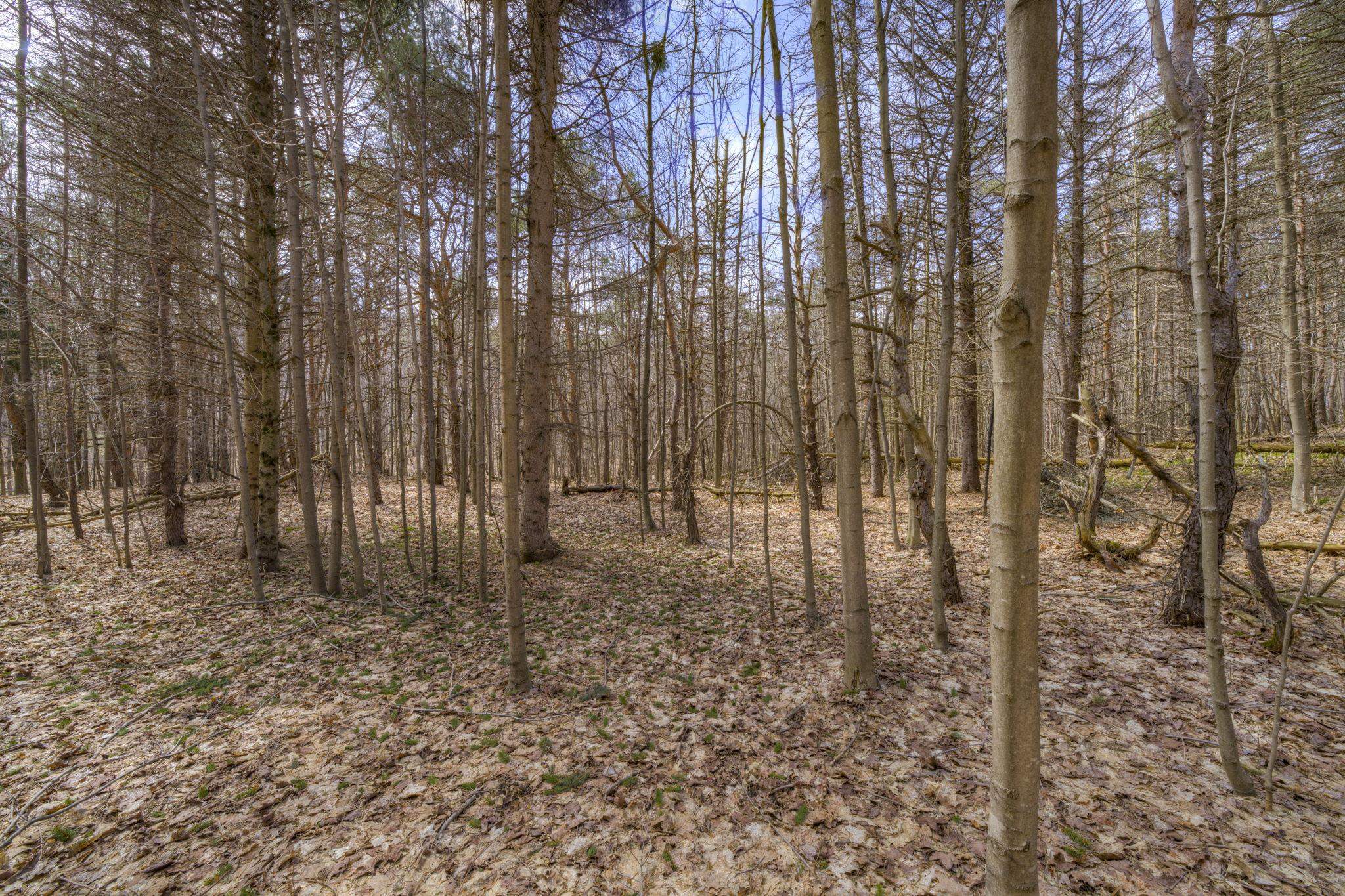 Parcel B E Bodus Road