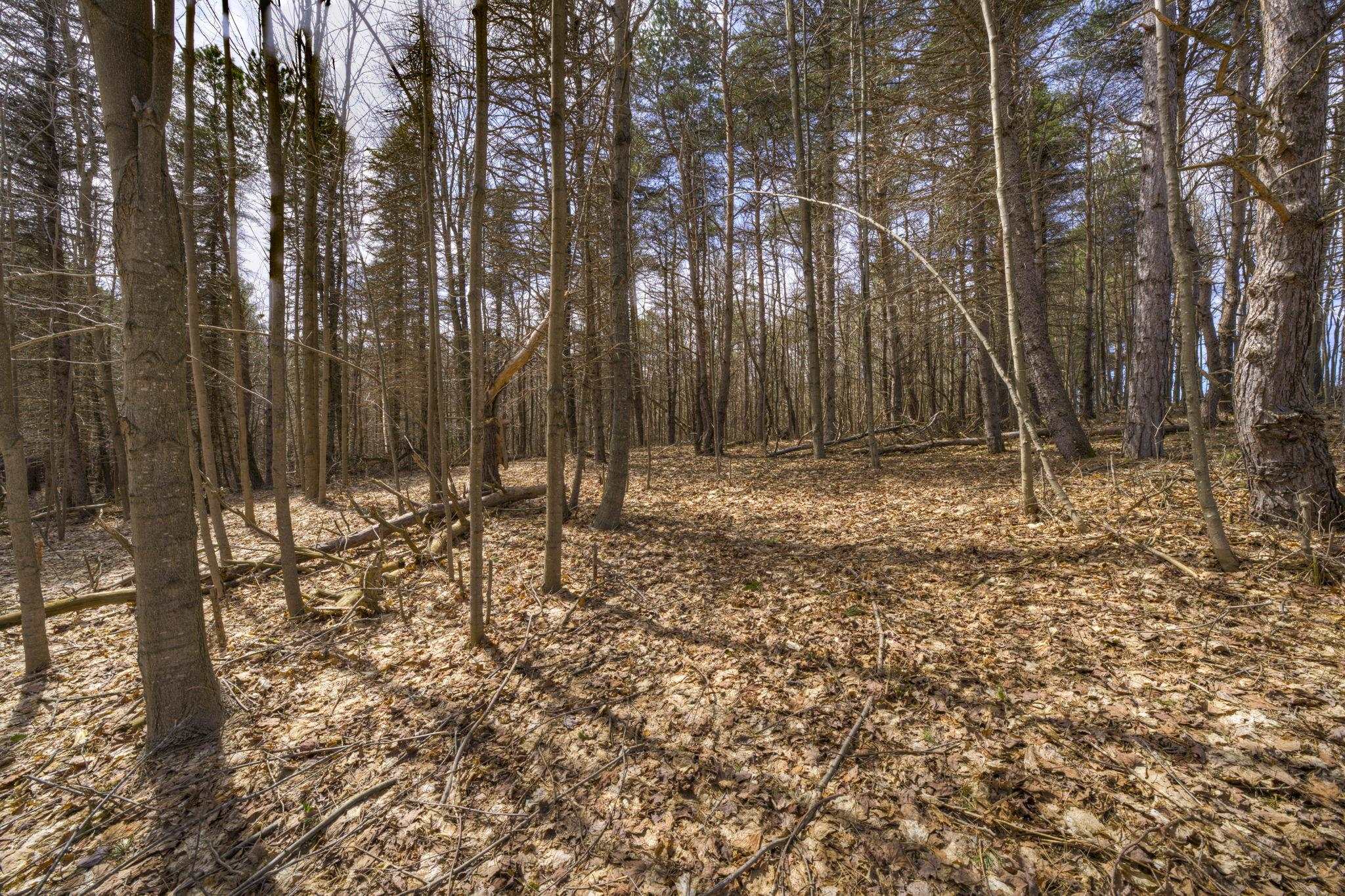 Parcel B E Bodus Road