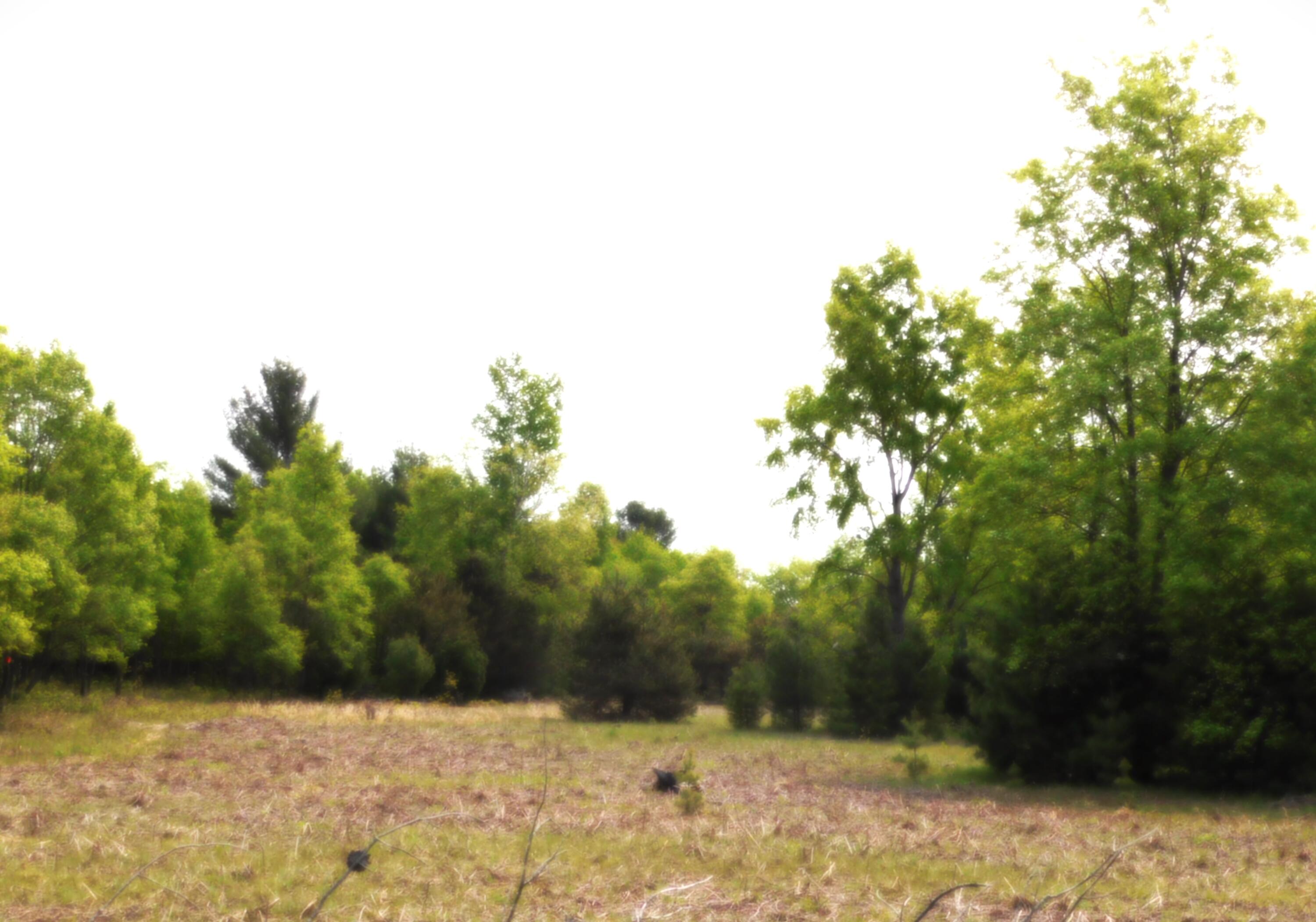 15880 Potter Road B26.82