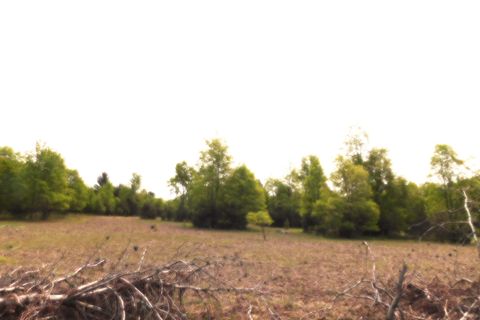 15880 Potter Road B26.82 Maple Grove Township MI 49645