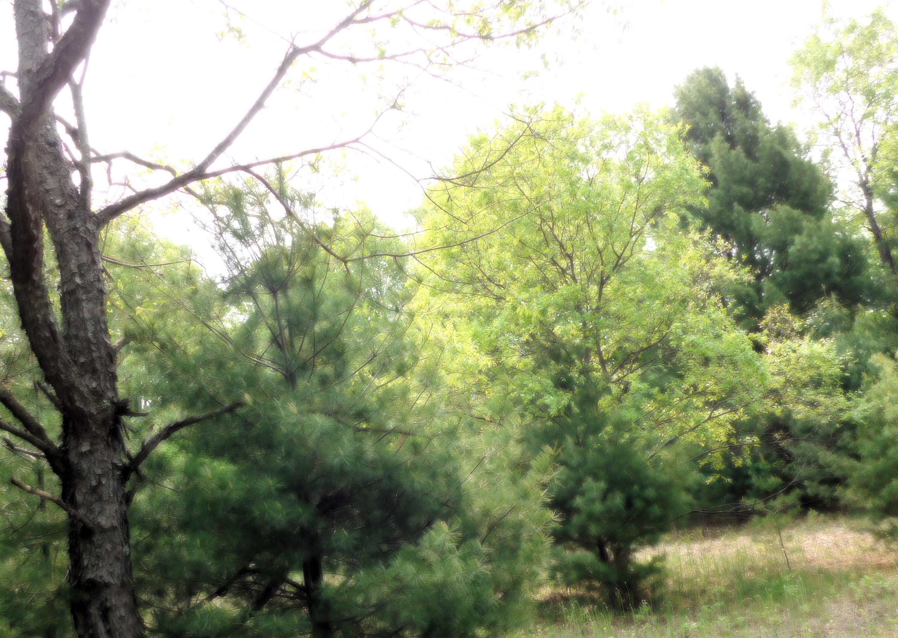 15880 Potter Road B26.82