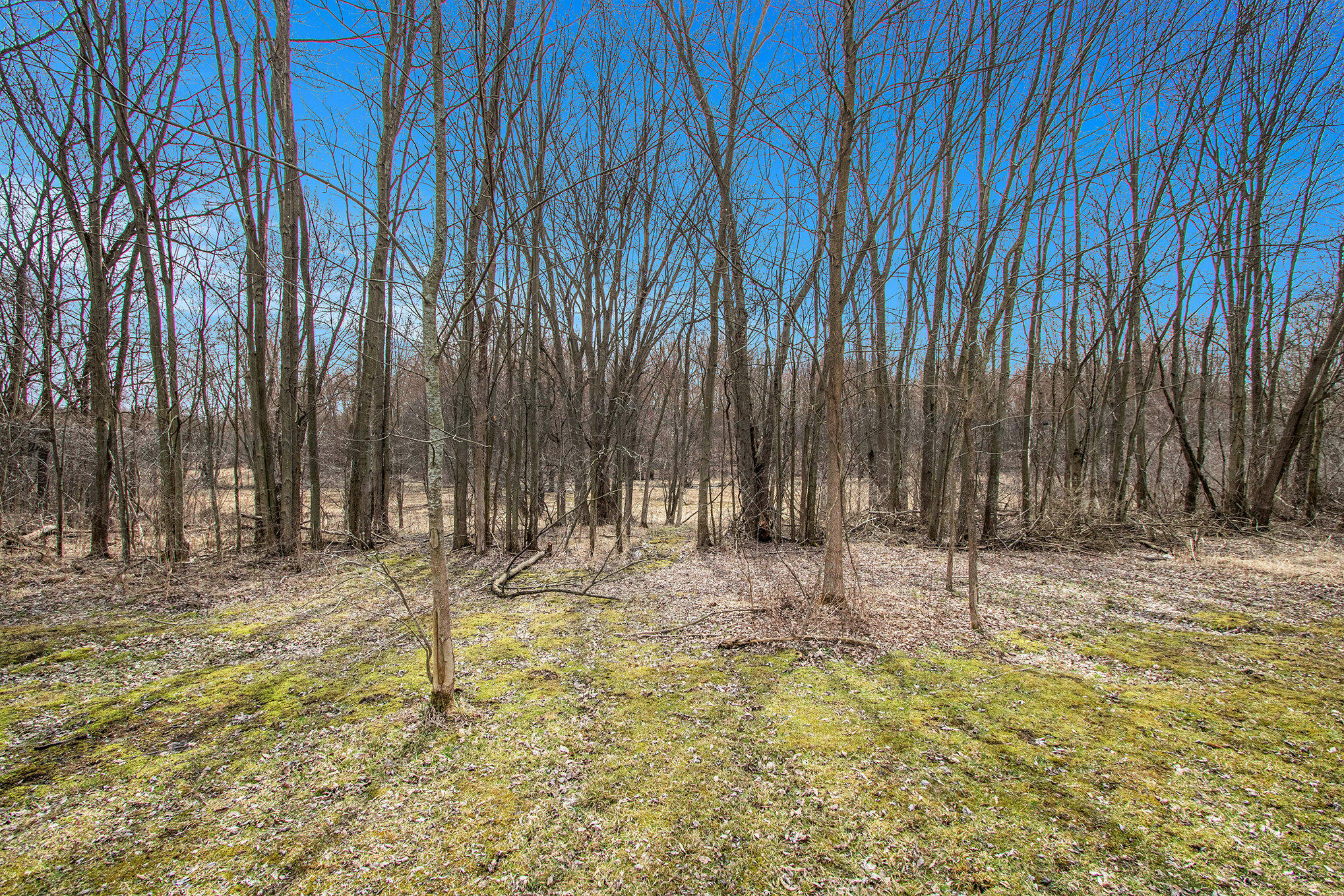 8710 Hagar Shore Road