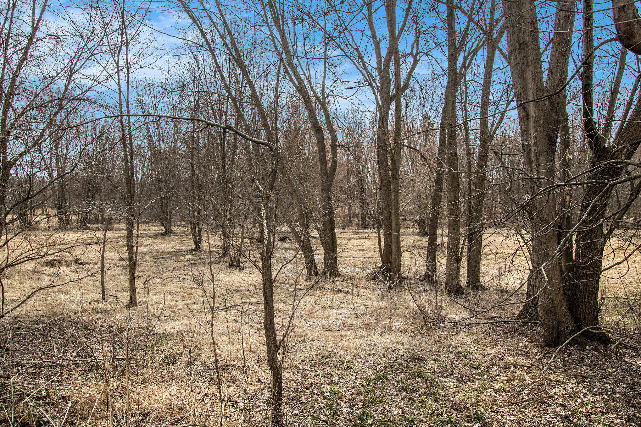 8710 Hagar Shore Road