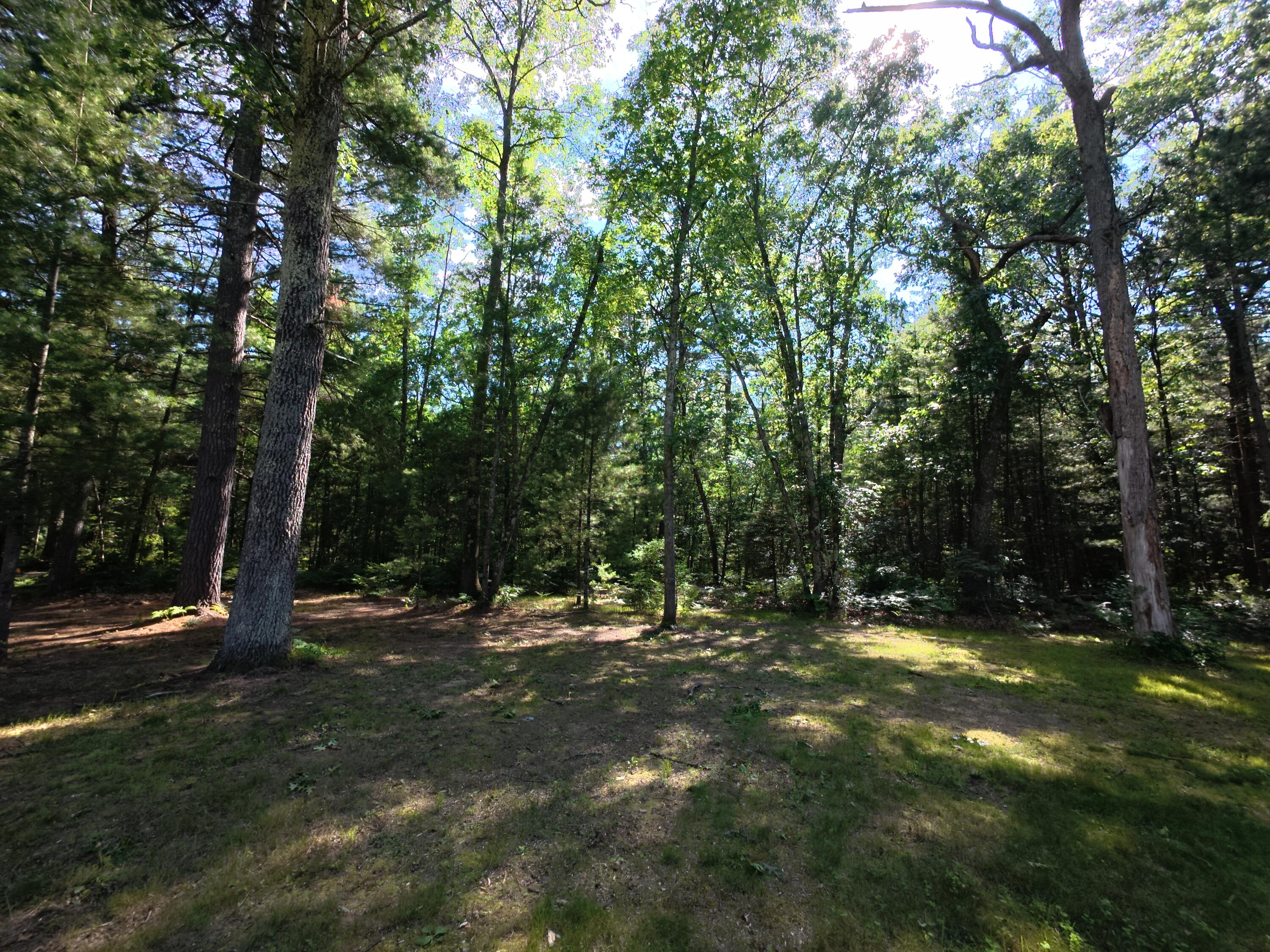 18233 Old House Road
