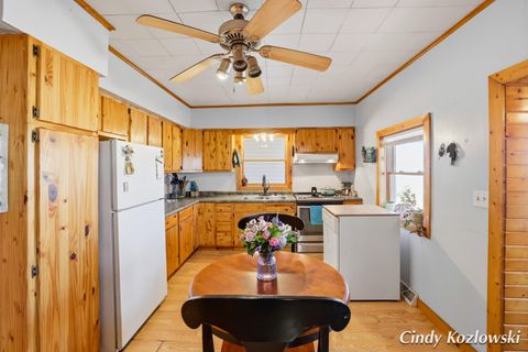 Tiny photo for 283 S Jones Street, Grant City, MI 49327 (MLS # 65026009563)