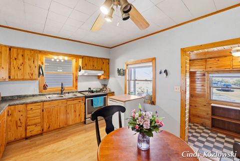 Tiny photo for 283 S Jones Street, Grant City, MI 49327 (MLS # 65026009563)