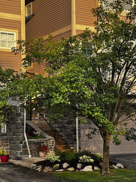 217 Old Creek Drive Saline City MI 48176