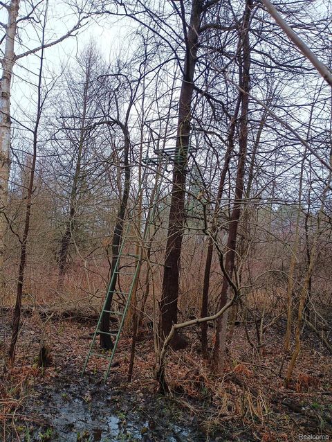 Tiny photo for 4250 Phillips Road, Hadley Township, MI 48455 (MLS # 20261021831)