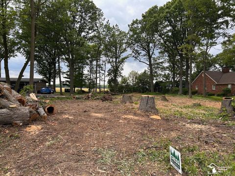 0 Strasburg Road Raisinville Township MI 48161