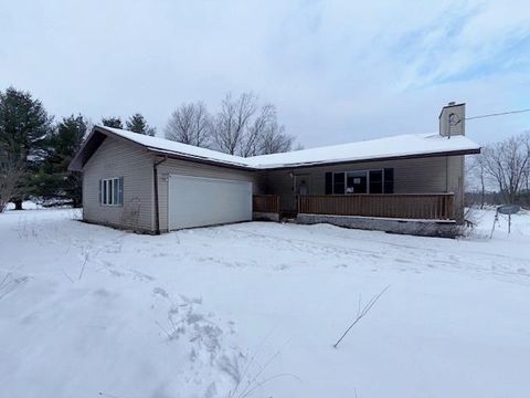 21820 Apache Pass Richmond Township MI 49677