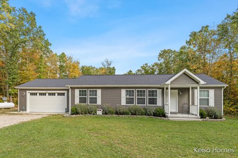 1072 N Bingham Avenue Lincoln Township MI 49349