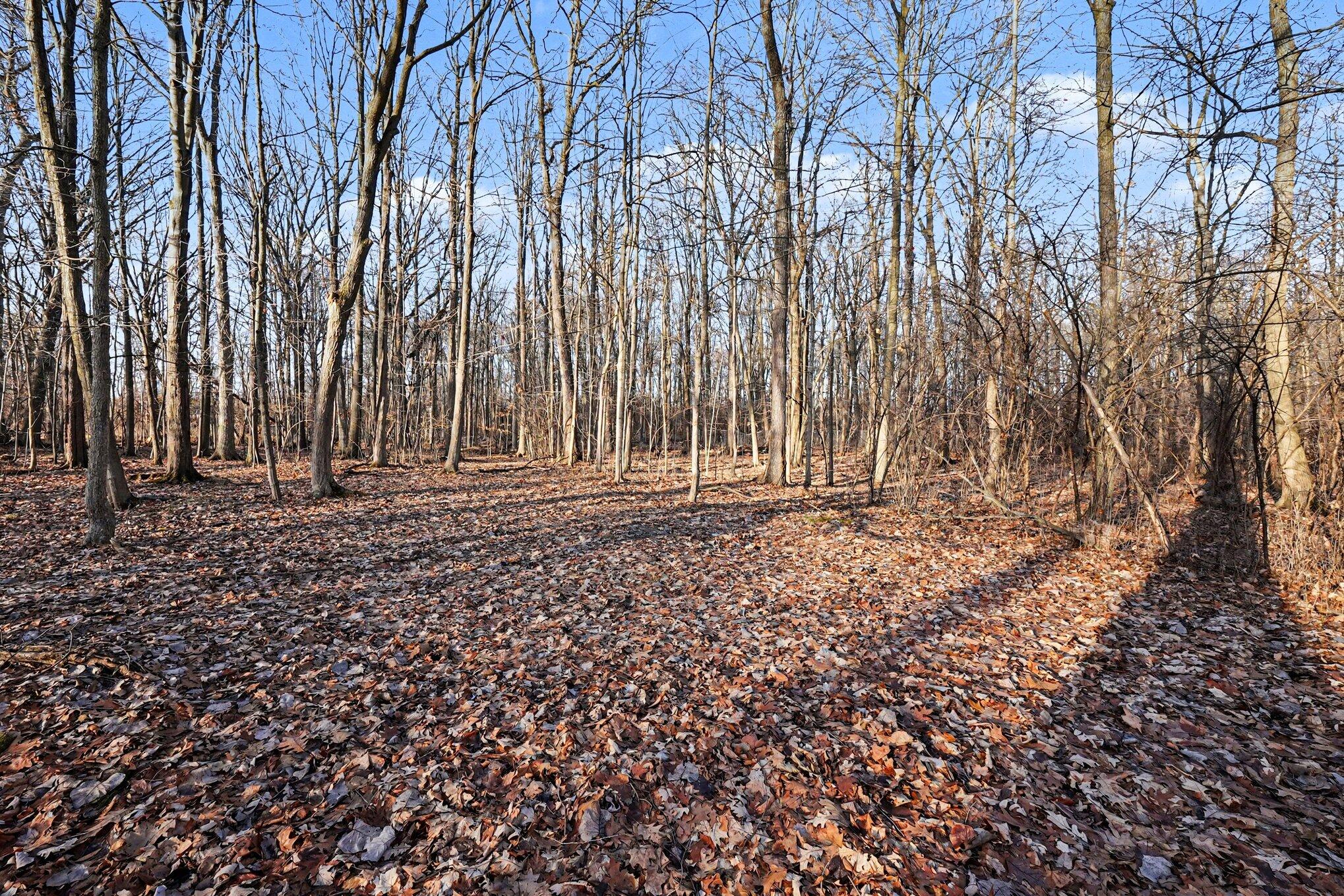 28375 Ranchwood Drive