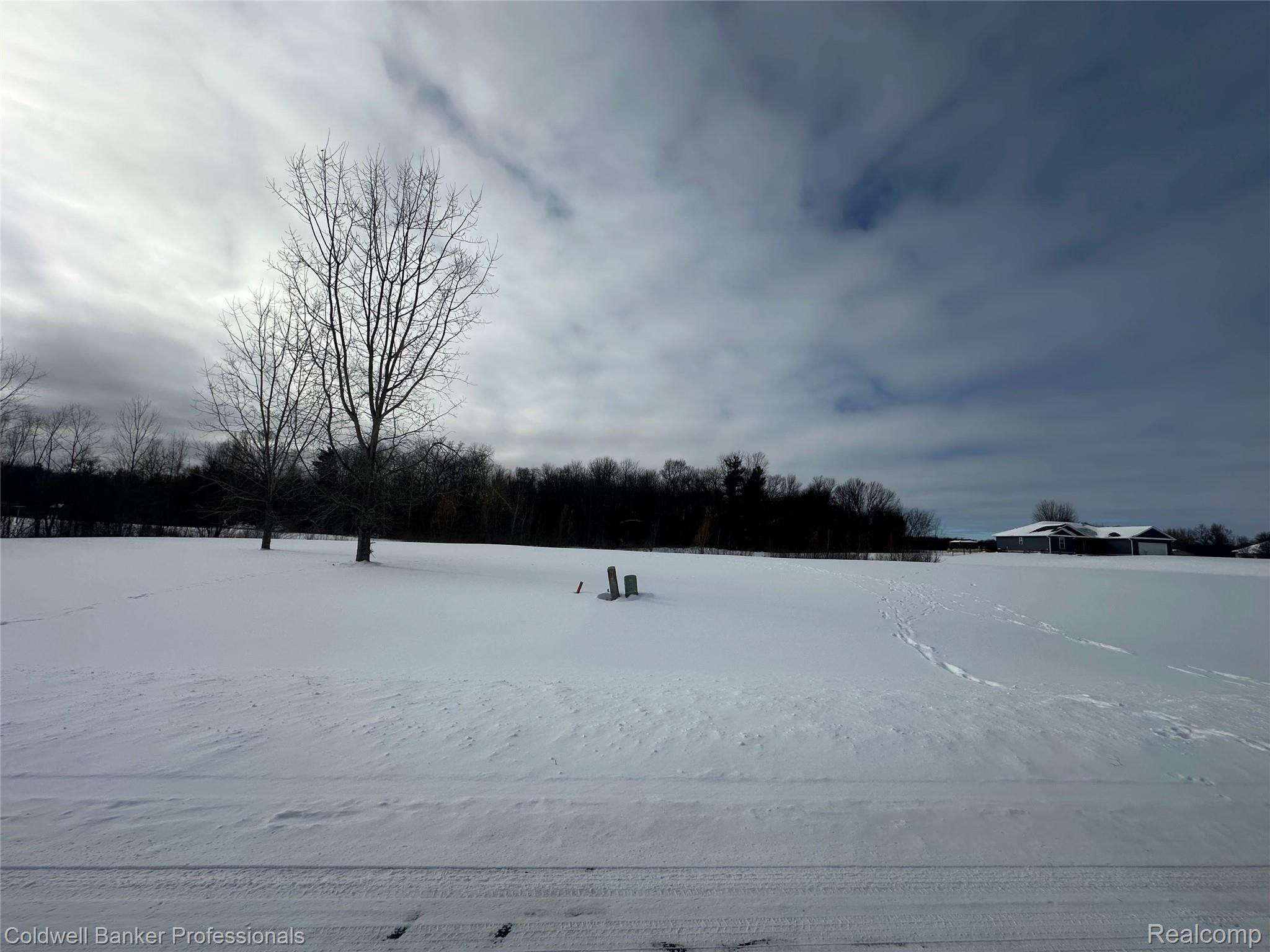 Parcel 2 & 3 Nelson William