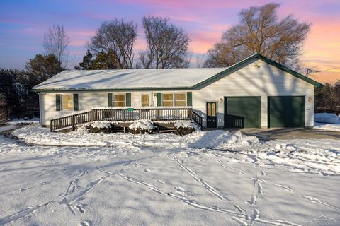 Photo of 4294 Turtle Road, Sherman Township, MI 48765 (MLS # 61050196095)