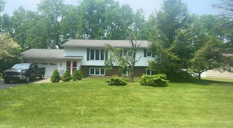 6958 Paddock Lane Summit Township MI 49201