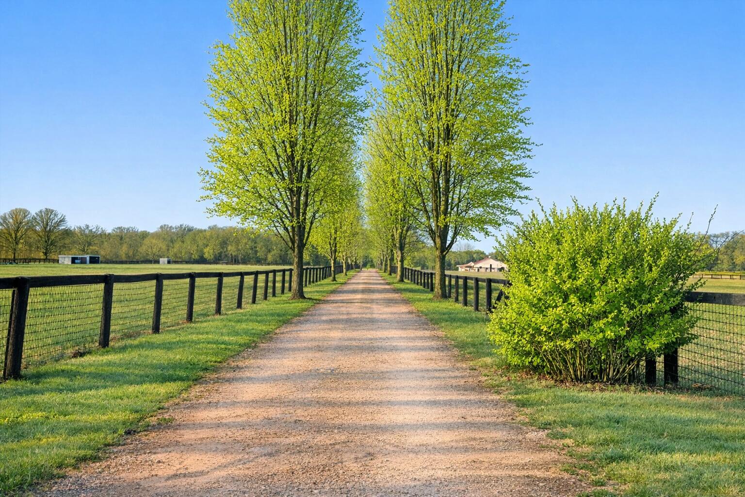 1246 Rose Center Road