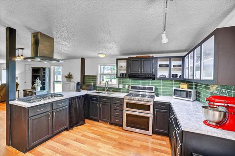 Tiny photo for 8653 Cochise Drive, Winfield Township, MI 49329 (MLS # 72026025956)