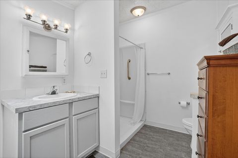 Tiny photo for 8653 Cochise Drive, Winfield Township, MI 49329 (MLS # 72026025956)