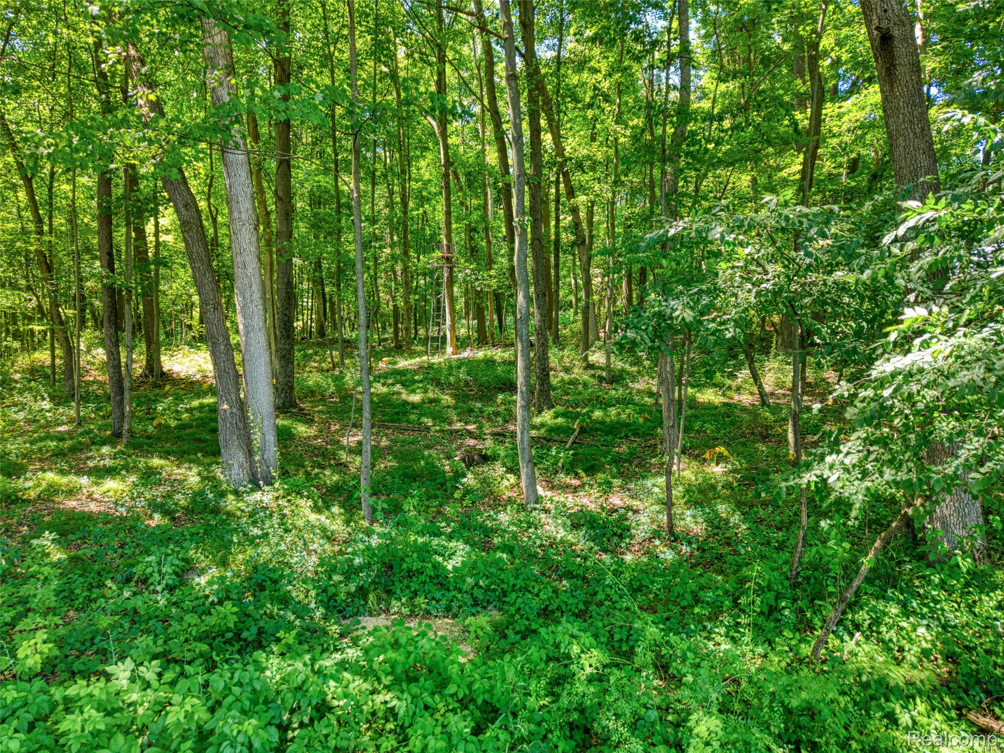 5663 Iosco Mountain Road