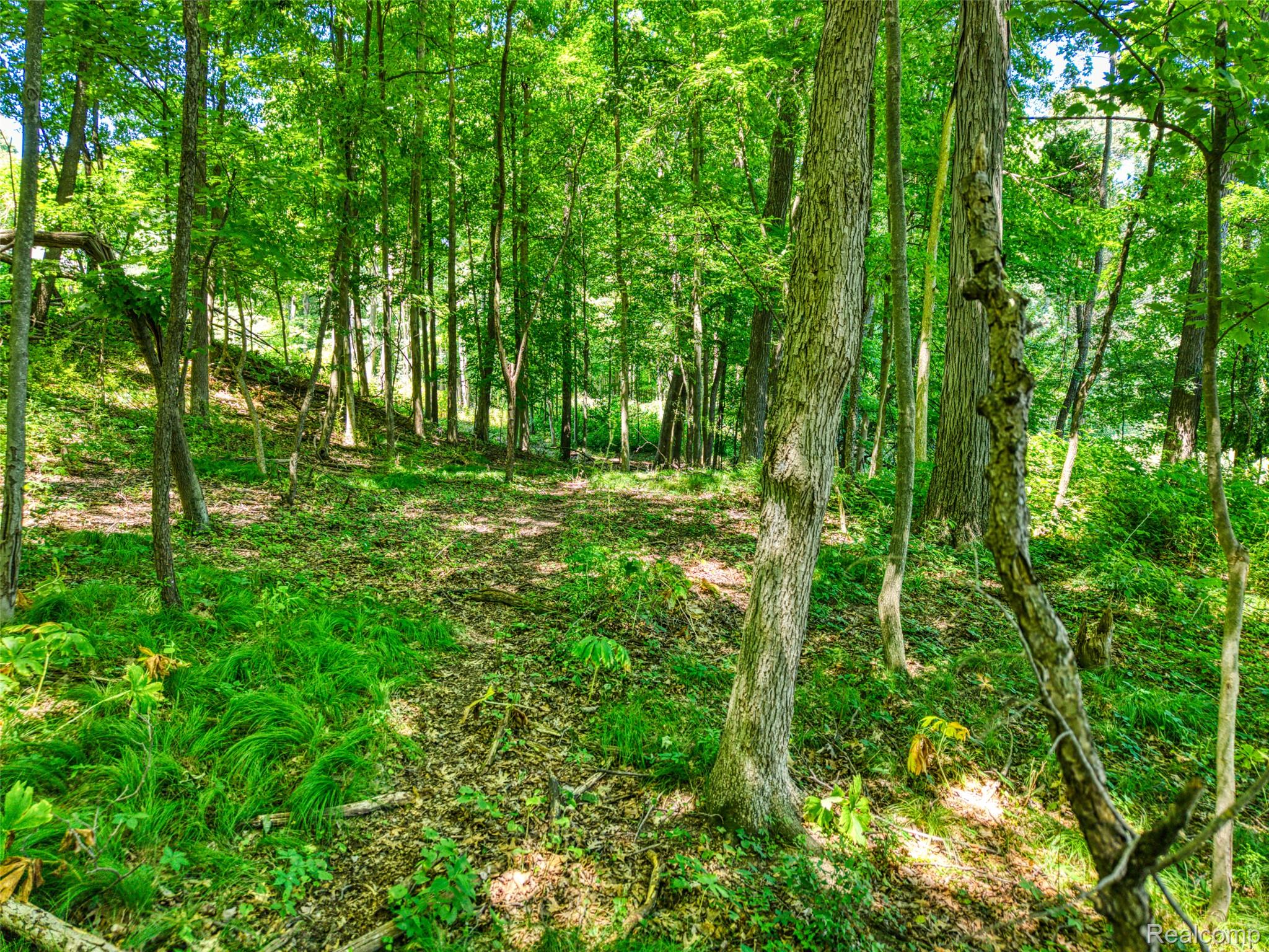 5663 Iosco Mountain Road