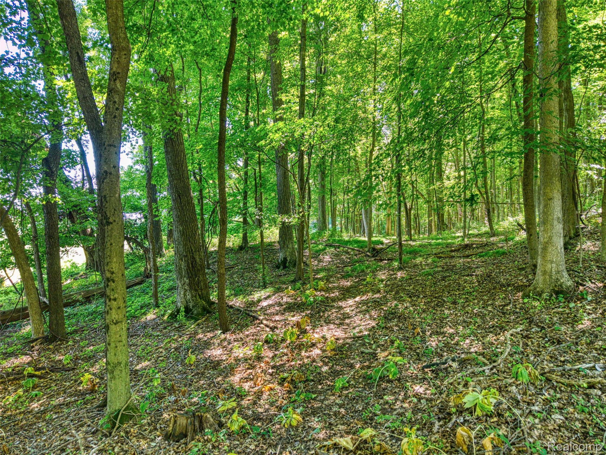 5663 Iosco Mountain Road