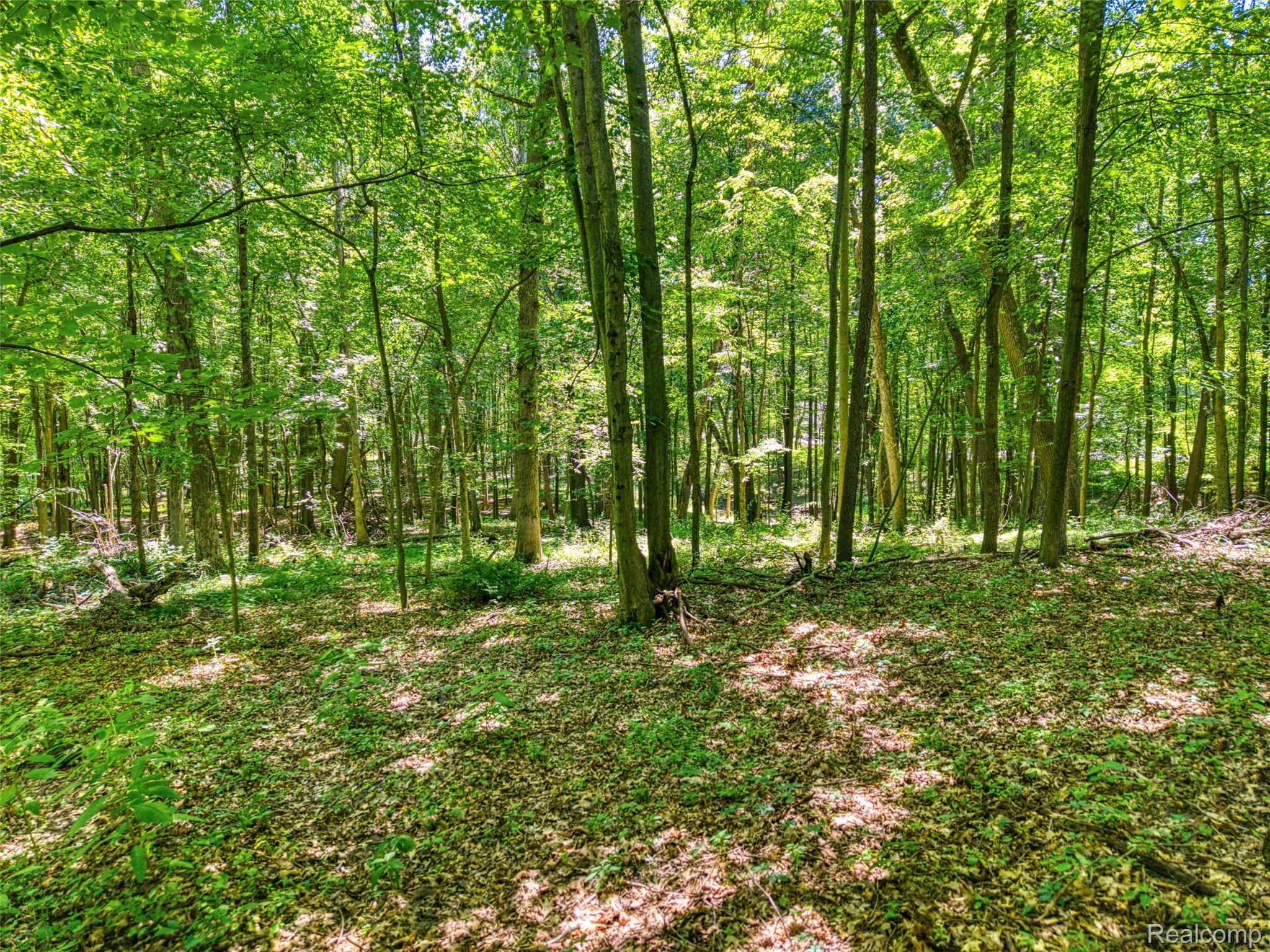 5663 Iosco Mountain Road