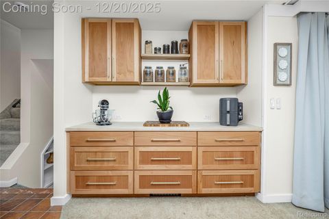 Tiny photo for 38027 Mallast Street, Harrison Charter Township, MI 48045 (MLS # 20251061013)